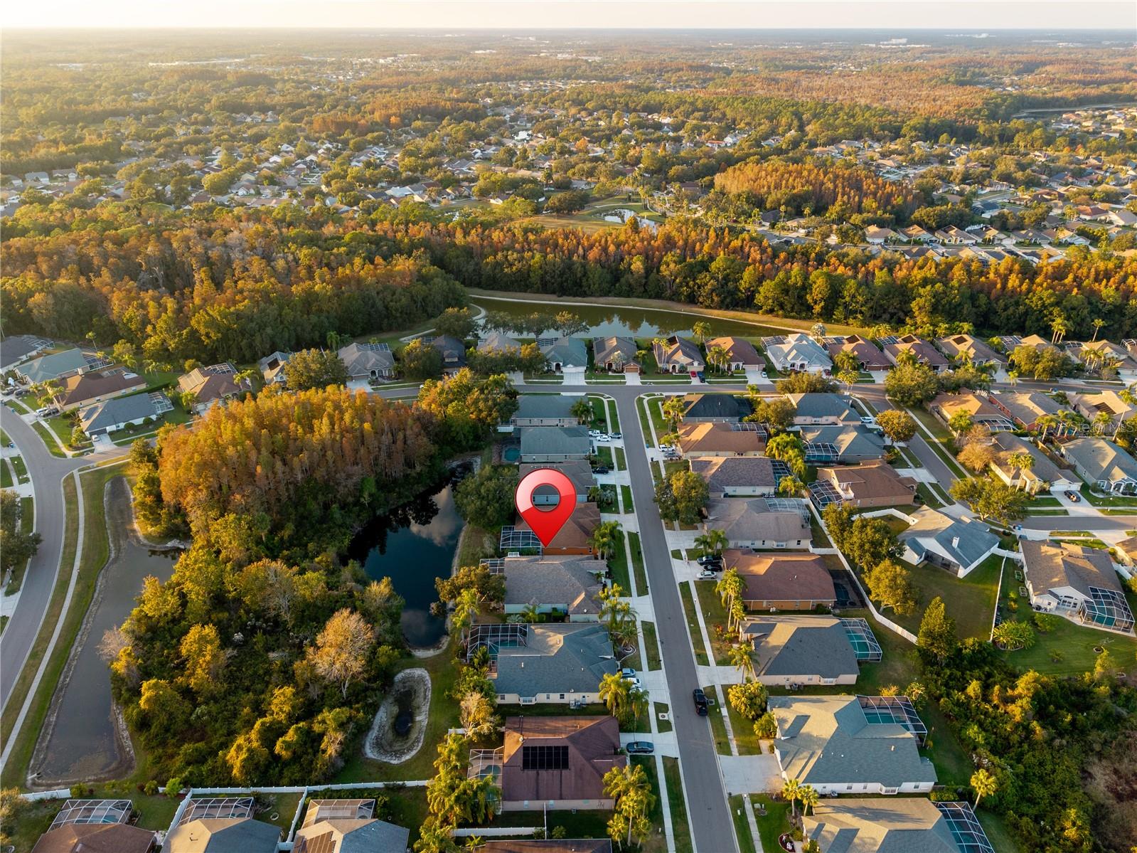 Image 80 of 81 For 9909 Kingshyre Way
