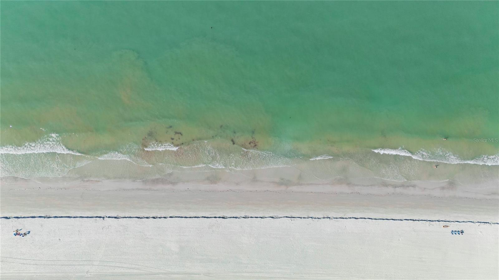 Image 43 of 62 For 2900 Gulf Boulevard 201