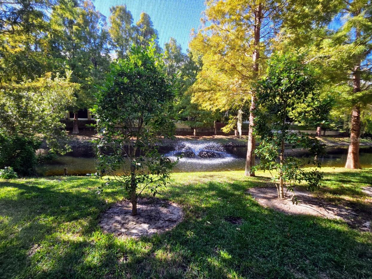 Image 28 of 32 For 807 Callista Cay Loop