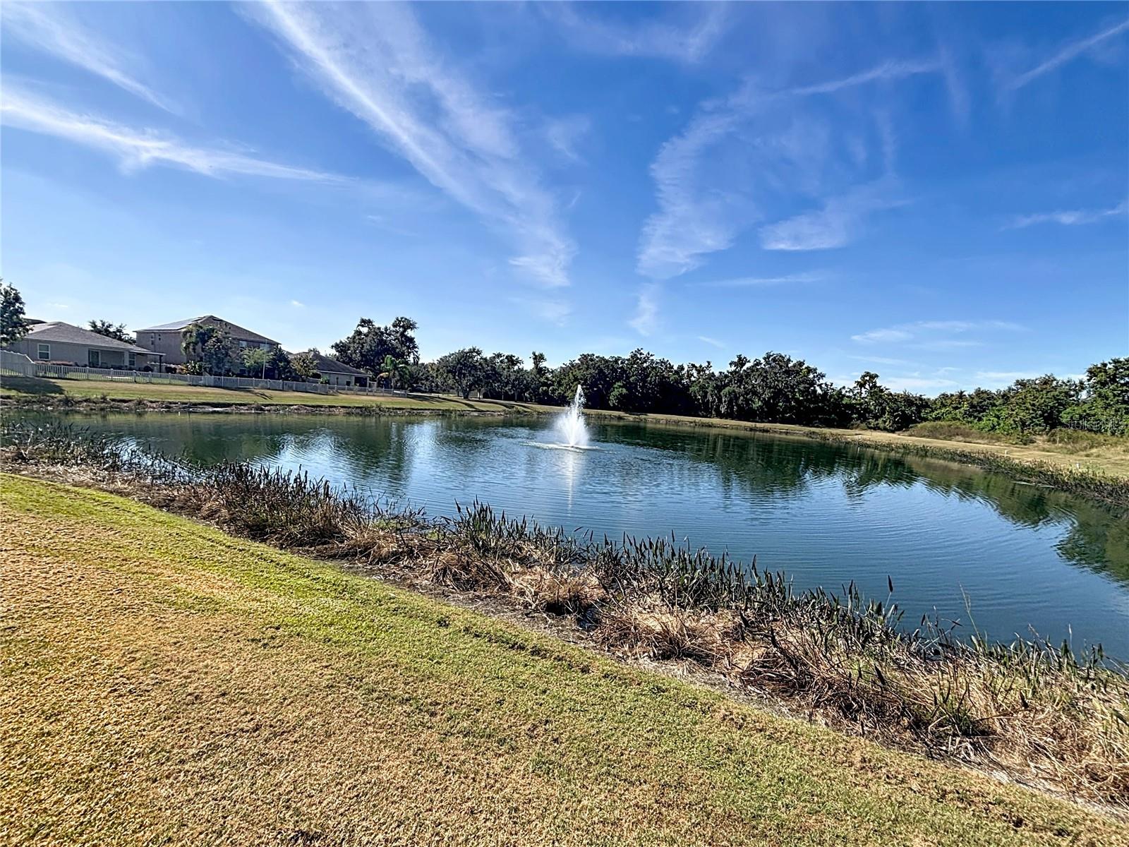 Image 39 of 39 For 10404 White Peacock Place