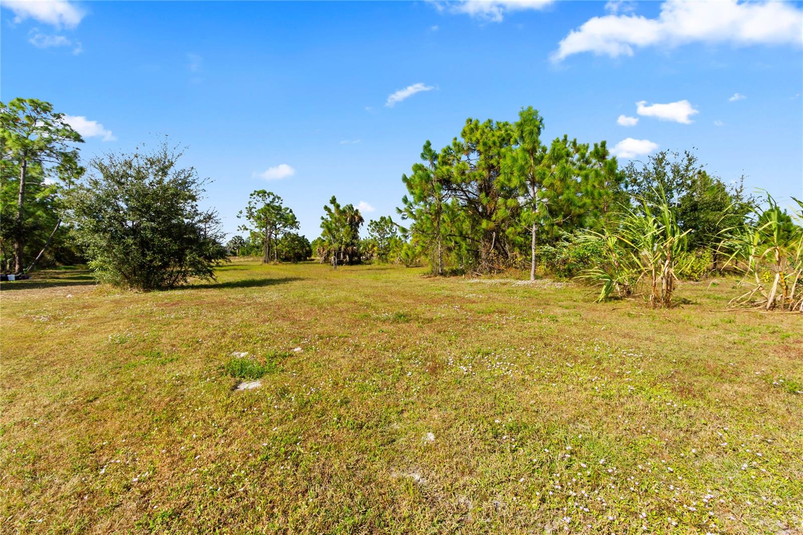 Image 41 of 52 For 2953 Everglades Boulevard N
