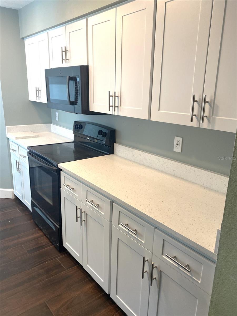 Image 3 of 6 For 525 Feather Tree Drive