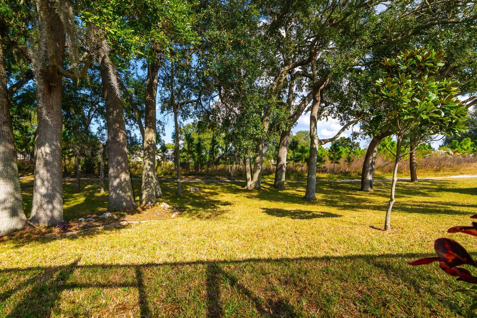 Image 30 of 46 For 9043 Tournament Drive