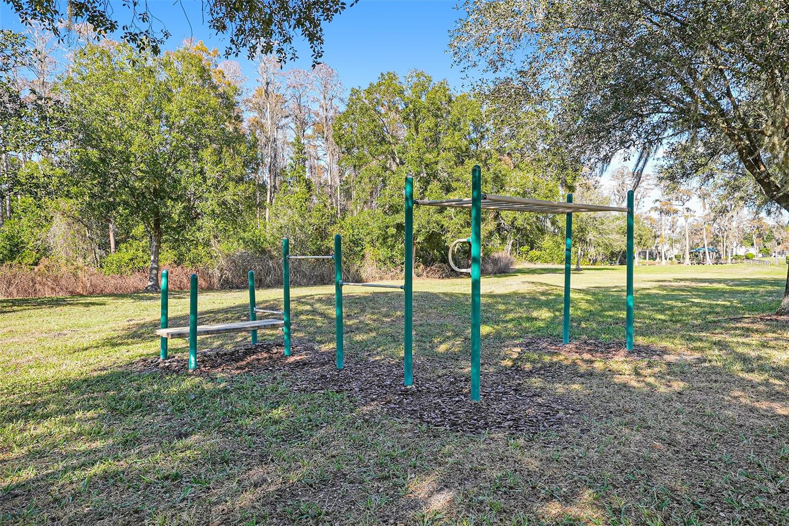 Image 41 of 44 For 17302 Preakness Place