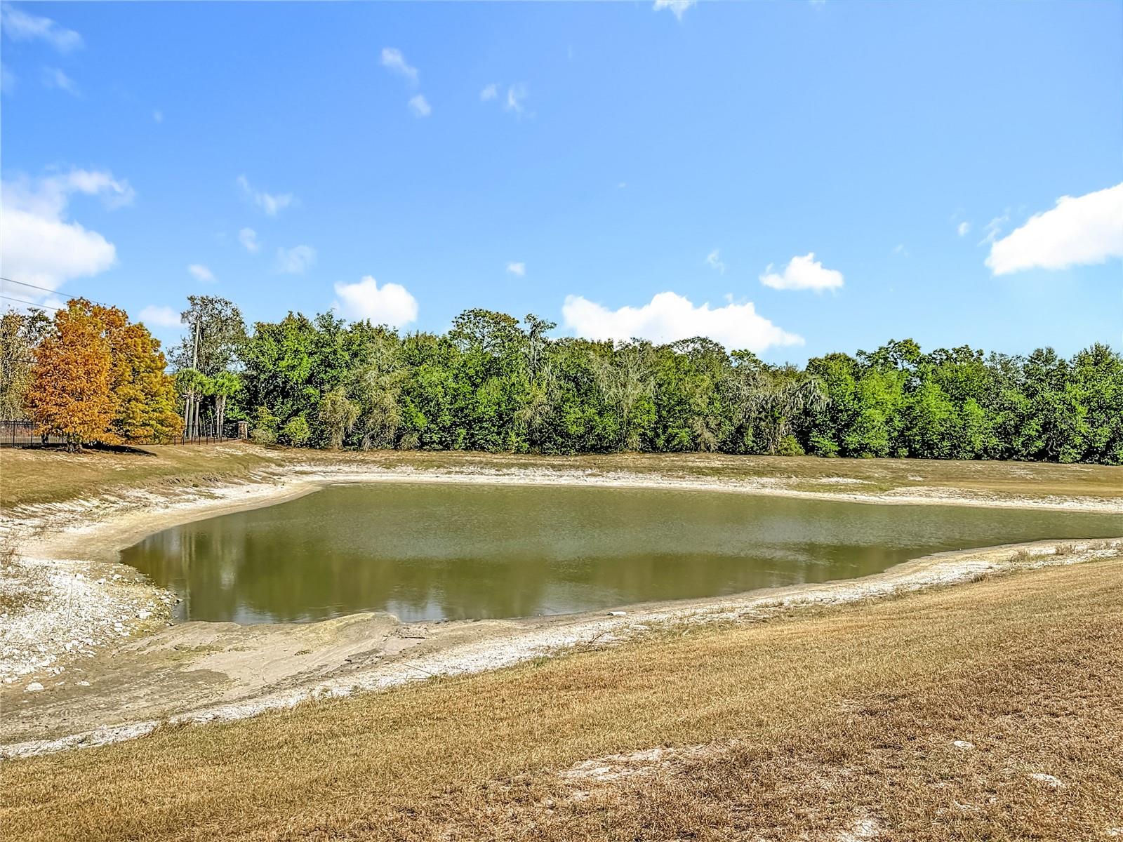 Image 43 of 52 For 13913 Bee Tree Court