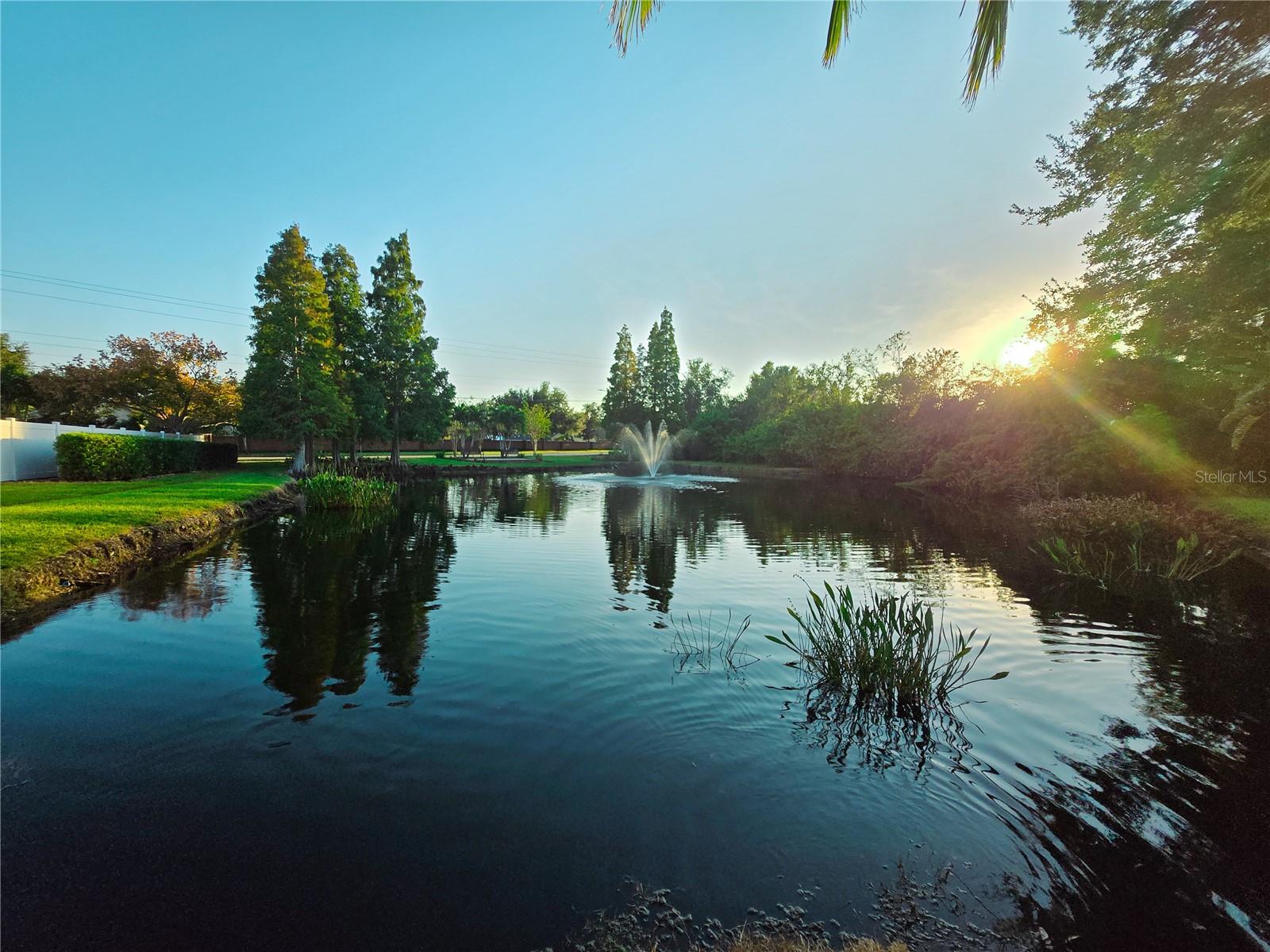 Image 74 of 98 For 10118 Cannon Drive