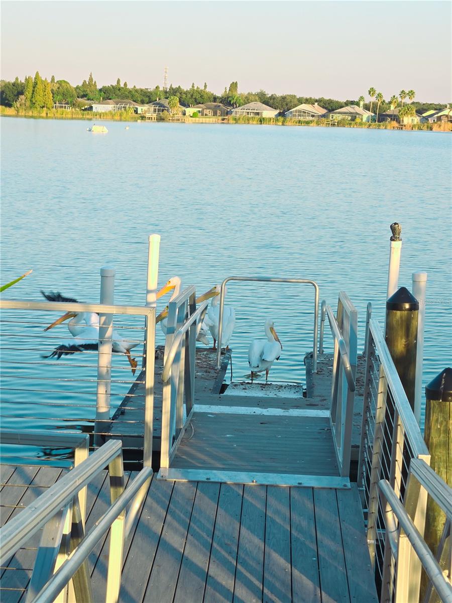 Image 85 of 98 For 10118 Cannon Drive