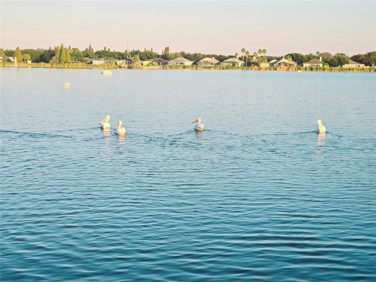 Image 87 of 98 For 10118 Cannon Drive