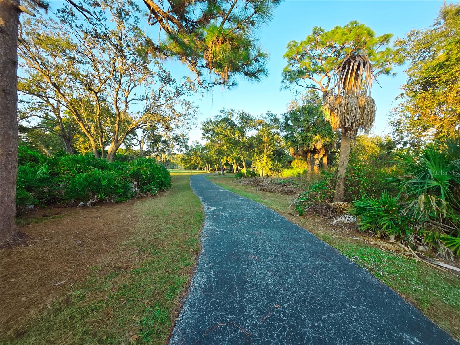 Image 91 of 98 For 10118 Cannon Drive