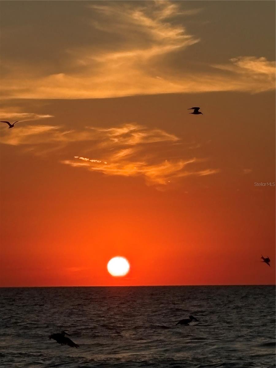 Image 31 of 37 For 880 Mandalay Avenue S214