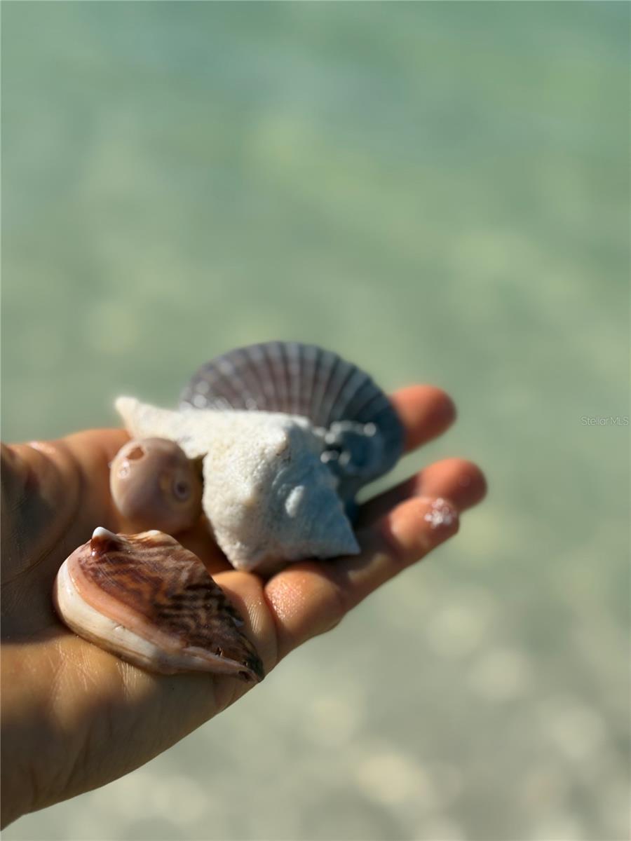 Image 33 of 37 For 880 Mandalay Avenue S214