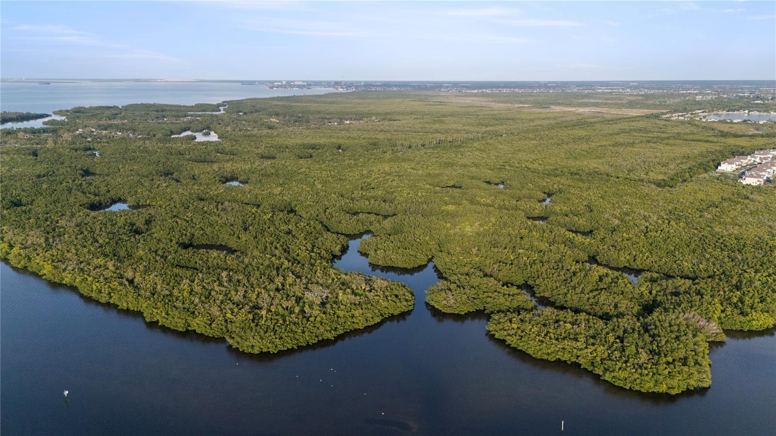 Image 28 of 54 For 611 Destiny Dr 310