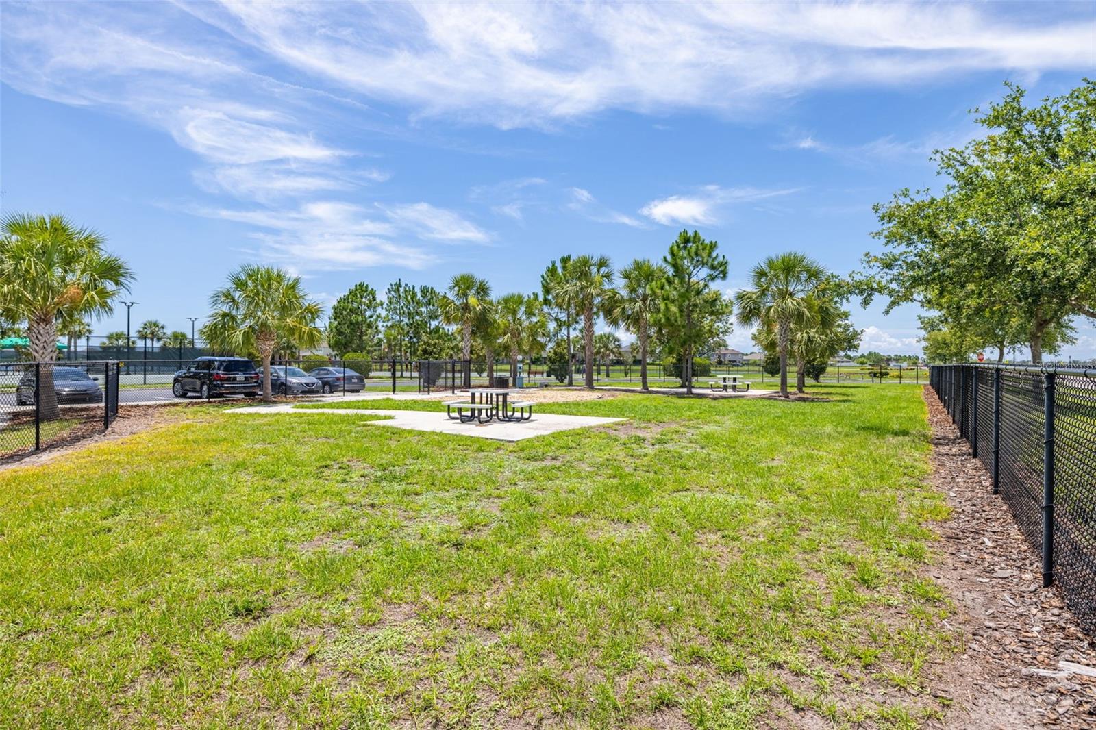 Image 47 of 51 For 10222 Celtic Ash Drive