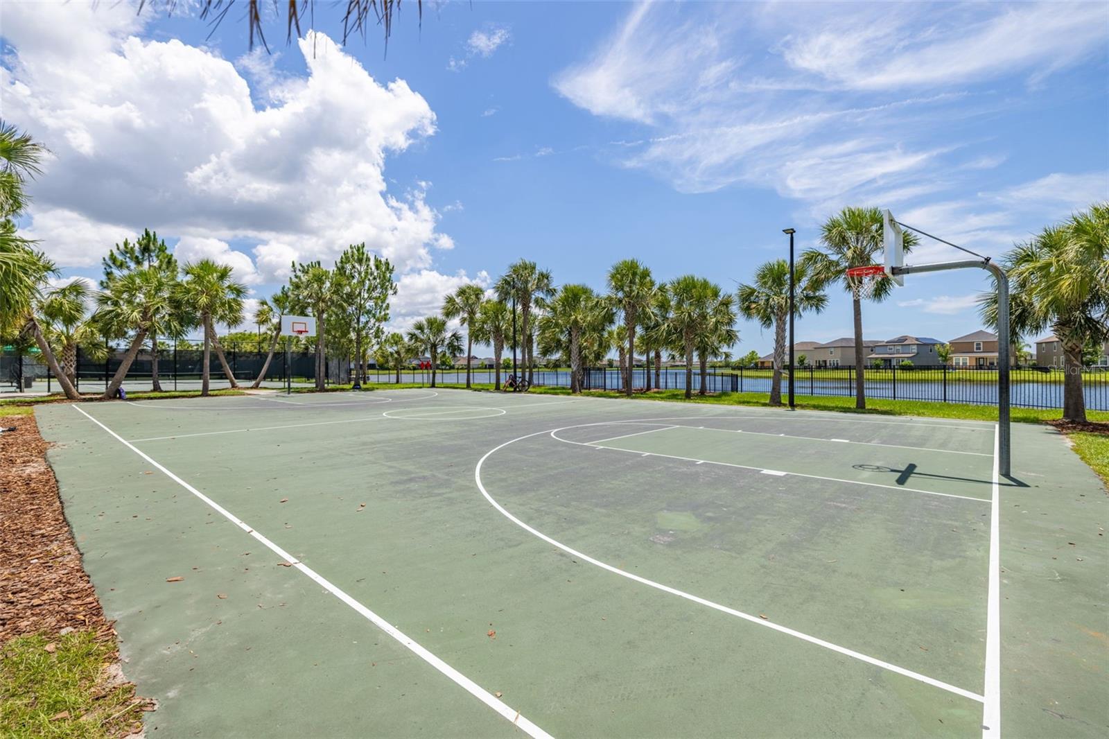 Image 48 of 51 For 10222 Celtic Ash Drive