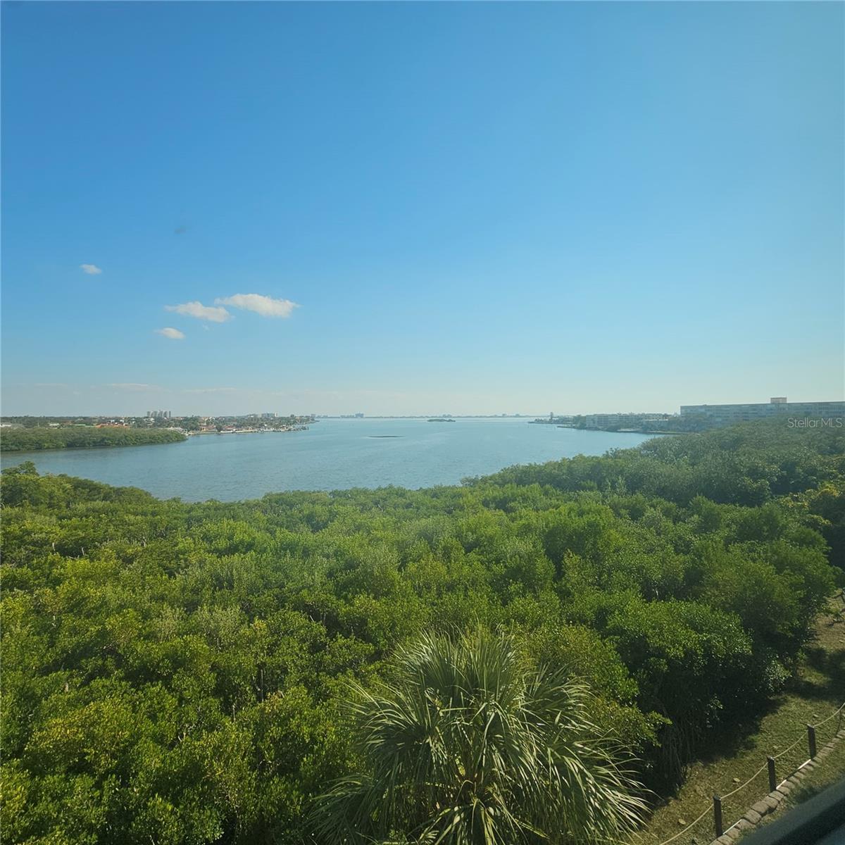 Image 10 of 69 For 1332 Pasadena Avenue S 501