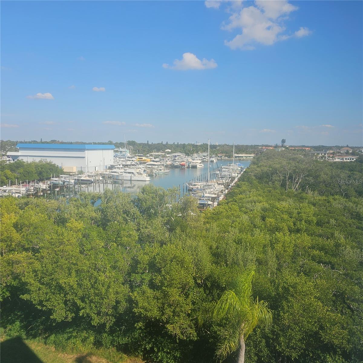 Image 12 of 69 For 1332 Pasadena Avenue S 501