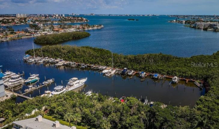 Image 2 of 69 For 1332 Pasadena Avenue S 501