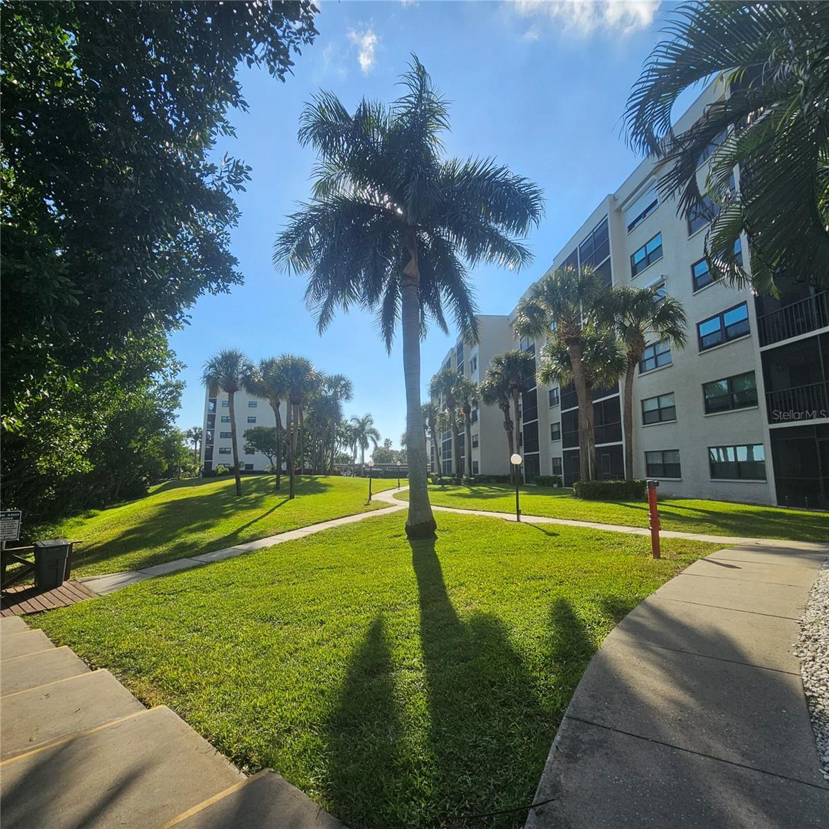 Image 35 of 69 For 1332 Pasadena Avenue S 501