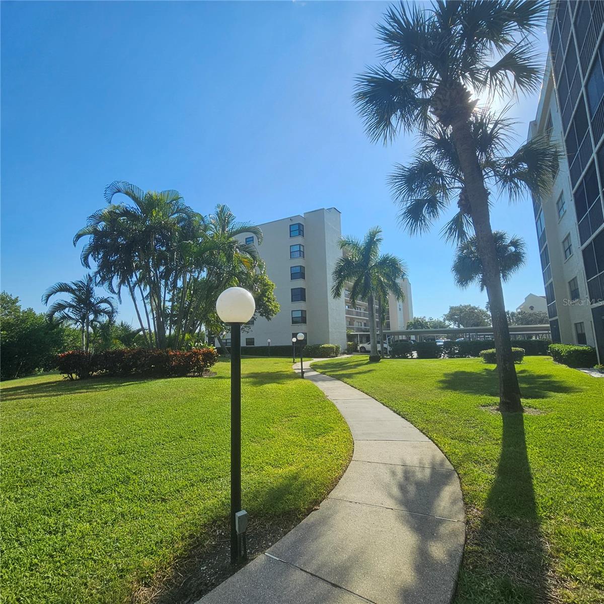 Image 36 of 69 For 1332 Pasadena Avenue S 501