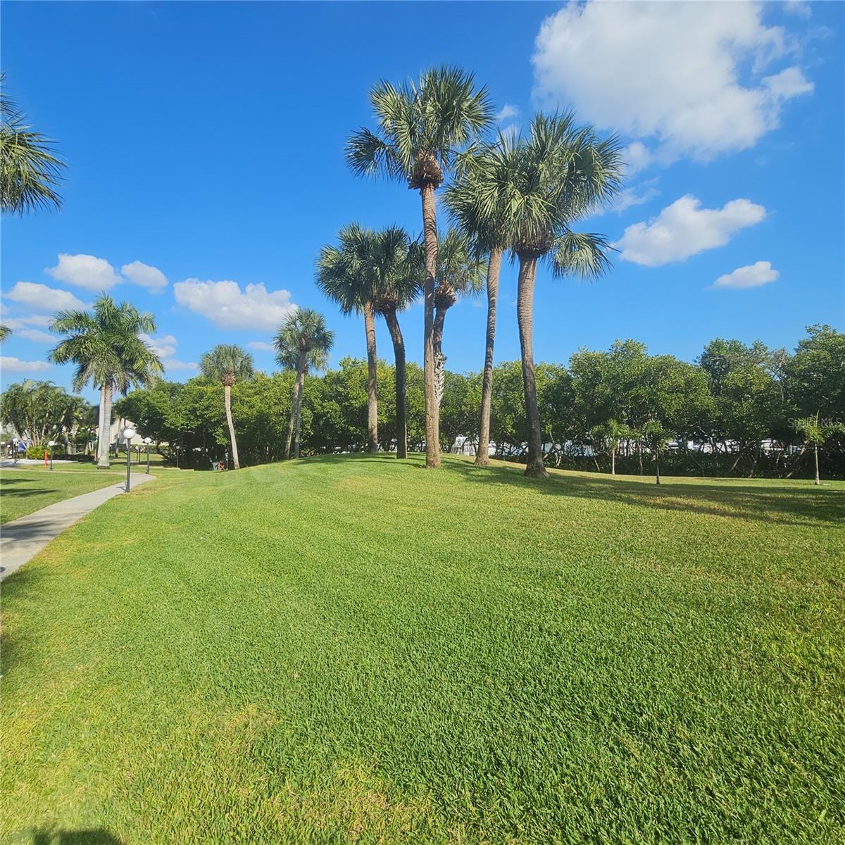 Image 38 of 69 For 1332 Pasadena Avenue S 501