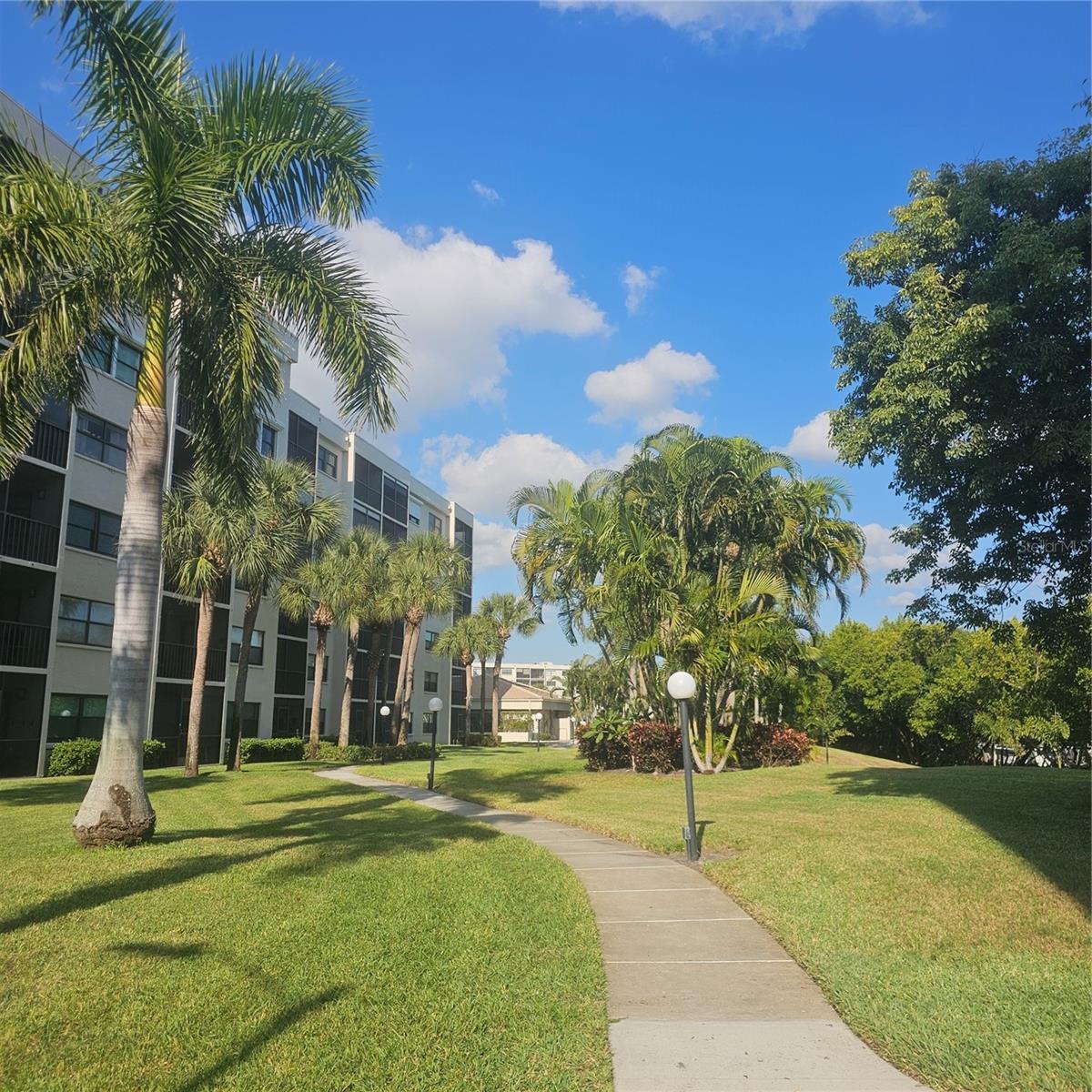 Image 39 of 69 For 1332 Pasadena Avenue S 501