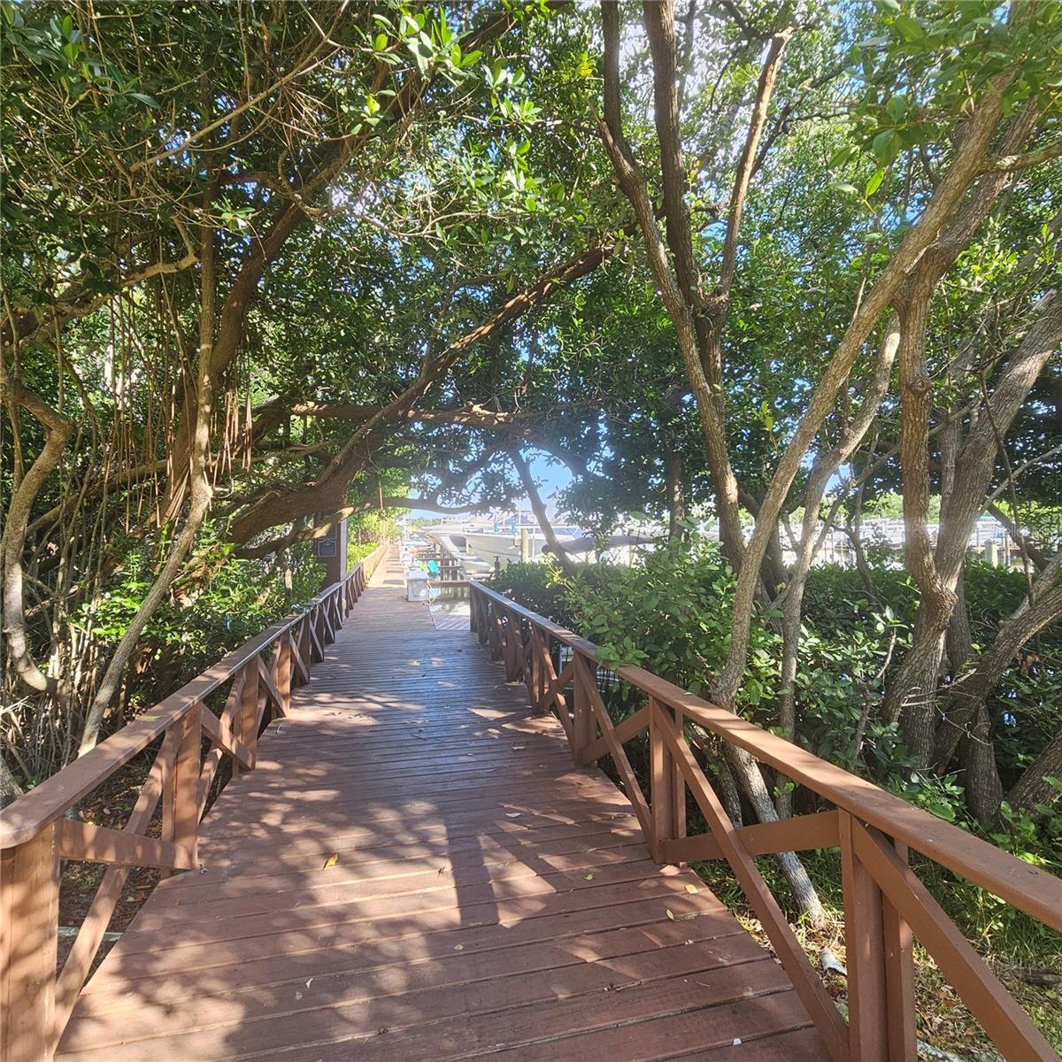 Image 40 of 69 For 1332 Pasadena Avenue S 501