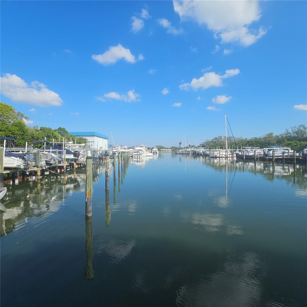 Image 41 of 69 For 1332 Pasadena Avenue S 501