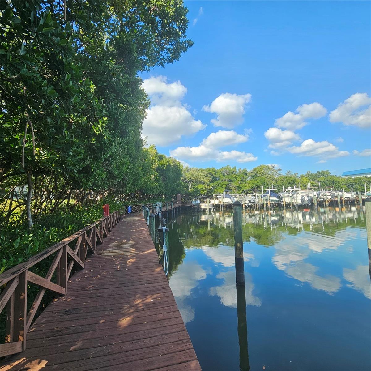 Image 42 of 69 For 1332 Pasadena Avenue S 501