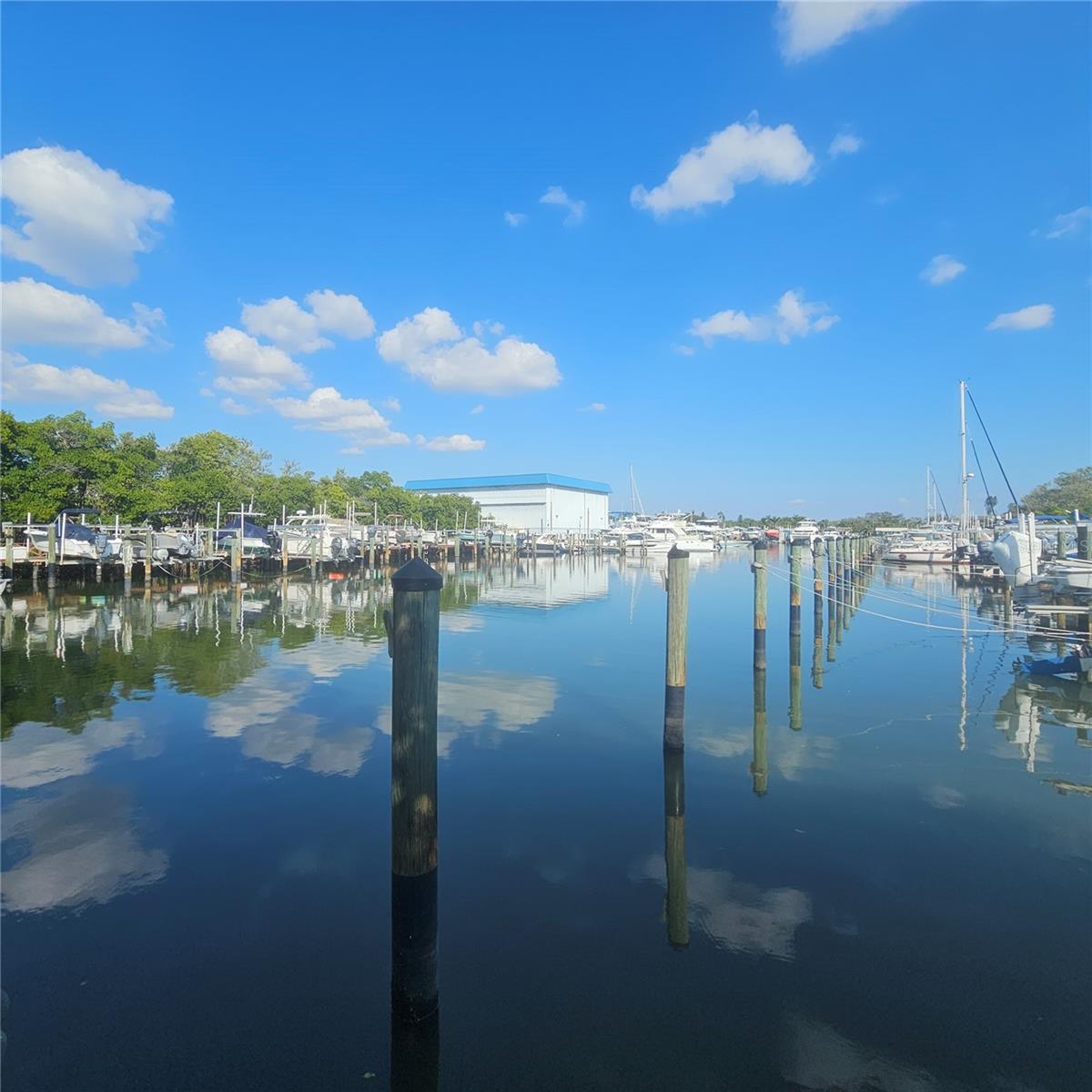 Image 43 of 69 For 1332 Pasadena Avenue S 501