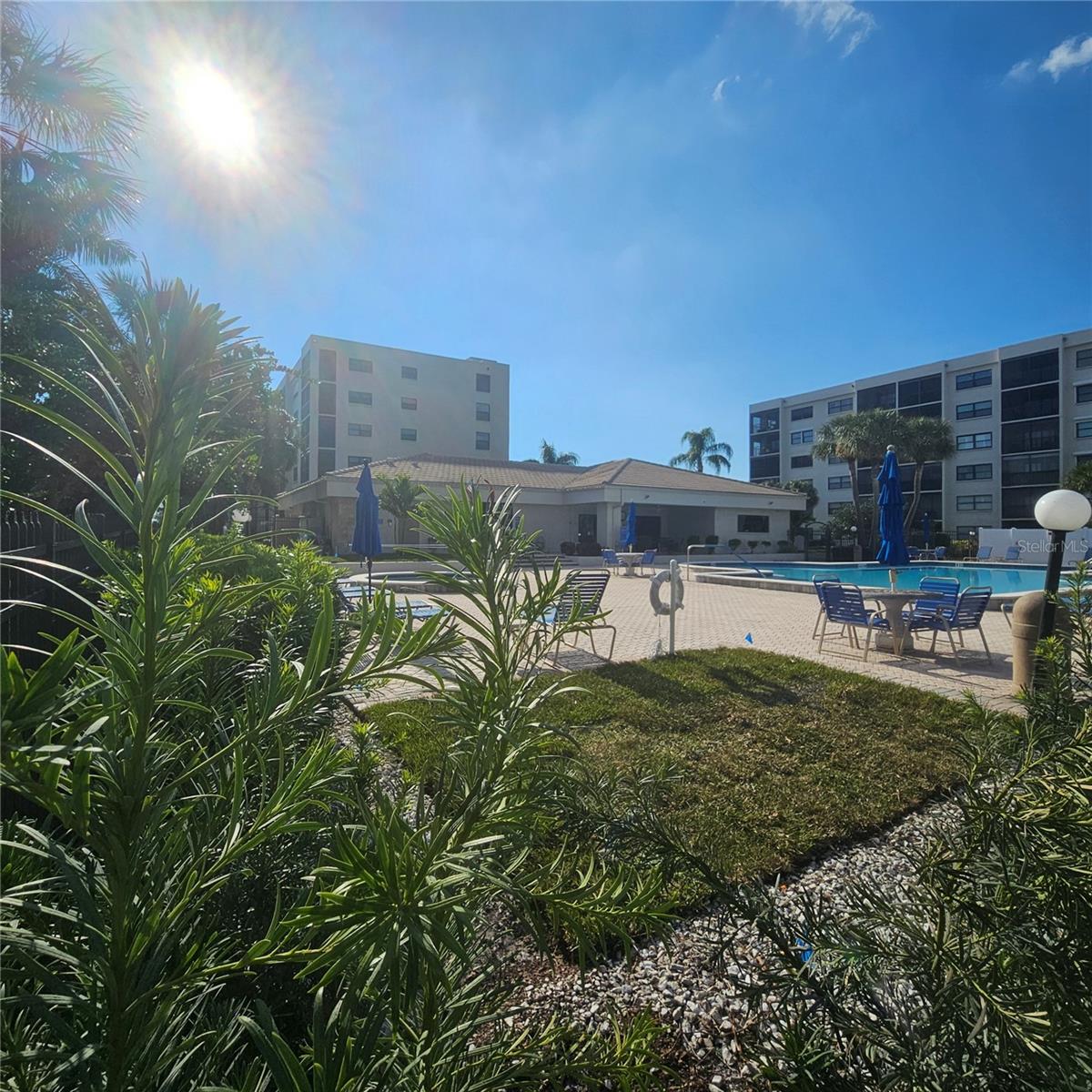 Image 54 of 69 For 1332 Pasadena Avenue S 501