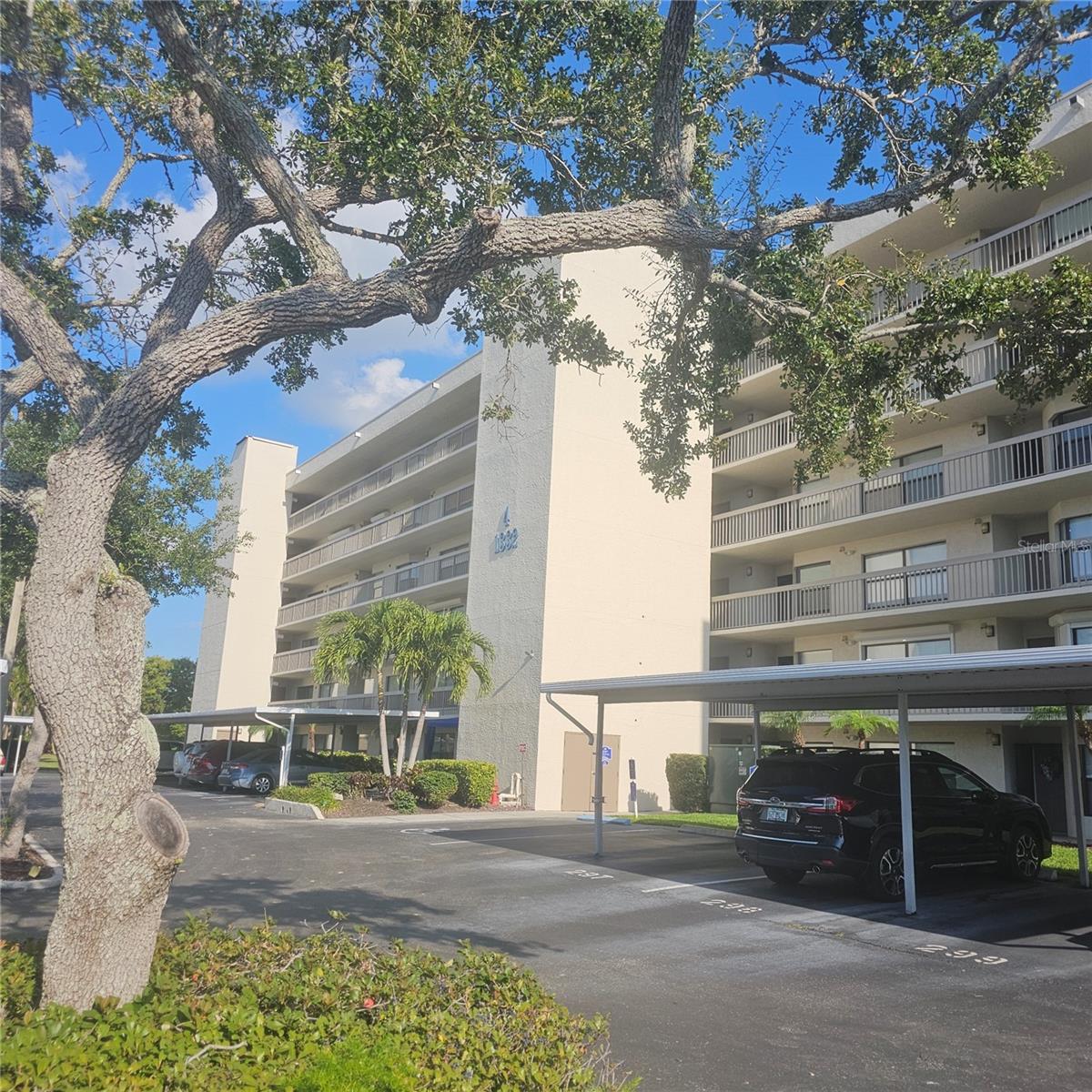 Image 6 of 69 For 1332 Pasadena Avenue S 501