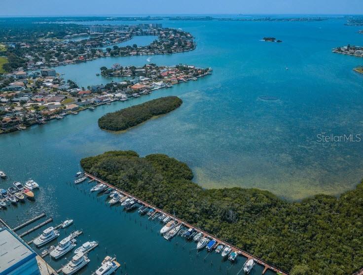 Image 65 of 69 For 1332 Pasadena Avenue S 501