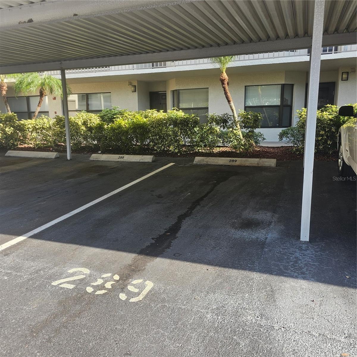 Image 8 of 69 For 1332 Pasadena Avenue S 501