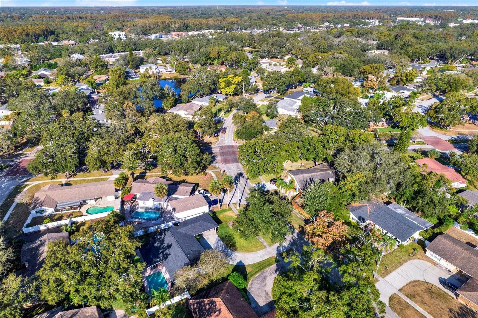 Image 49 of 60 For 10524 Orange Grove Drive