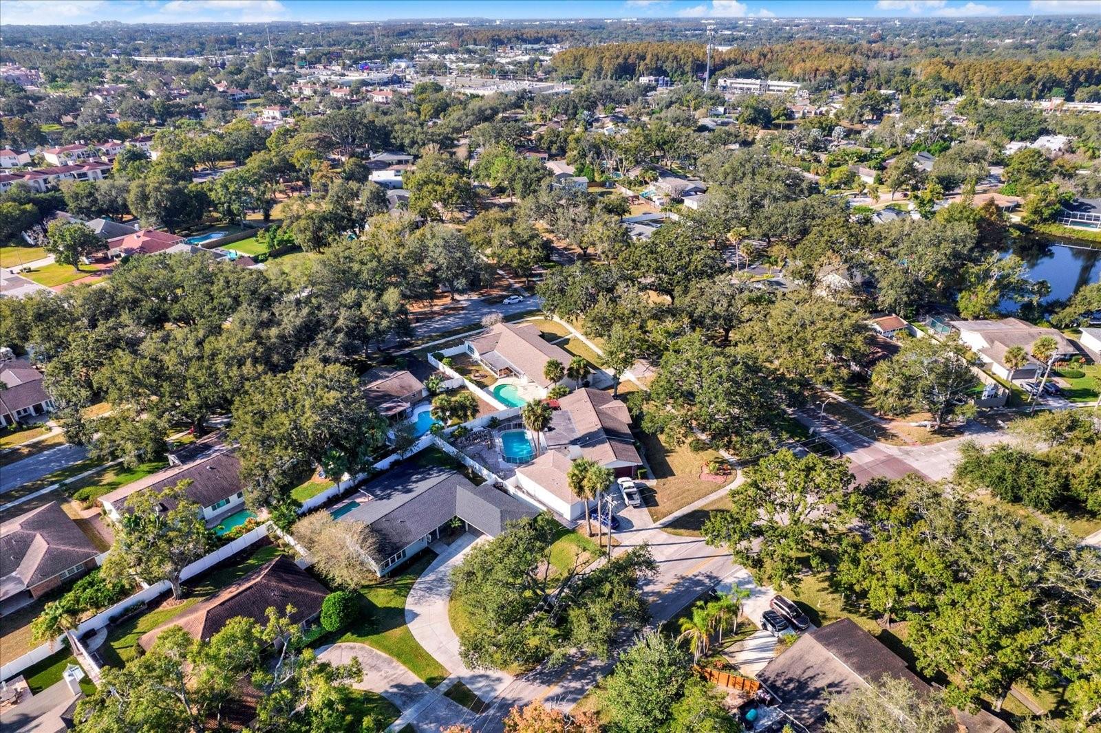 Image 52 of 60 For 10524 Orange Grove Drive