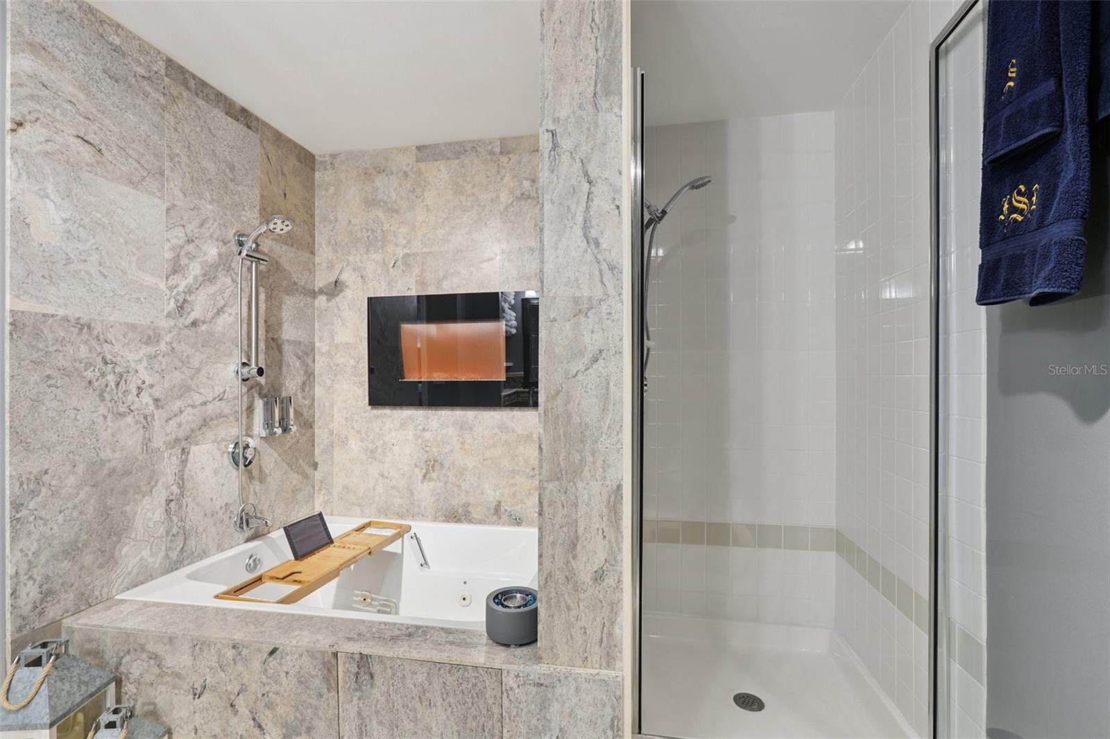 Image 38 of 78 For 345 Bayshore Boulevard Gp10