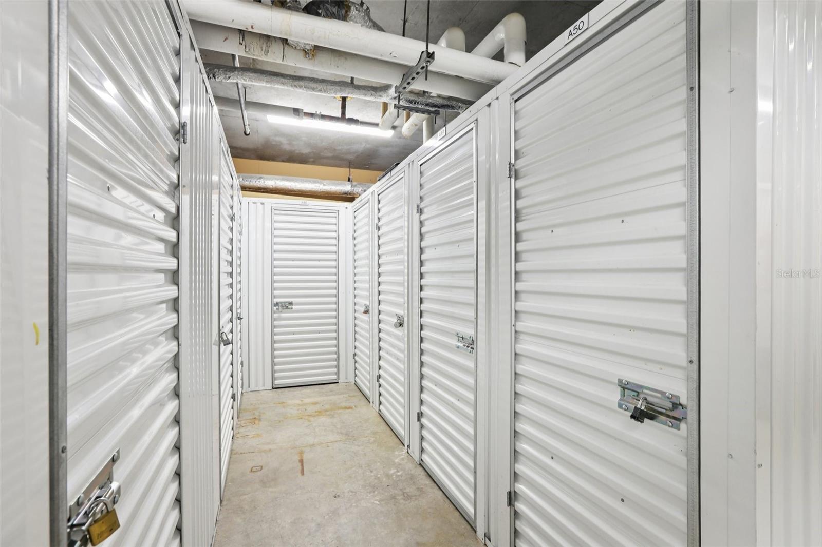 Image 76 of 78 For 345 Bayshore Boulevard Gp10