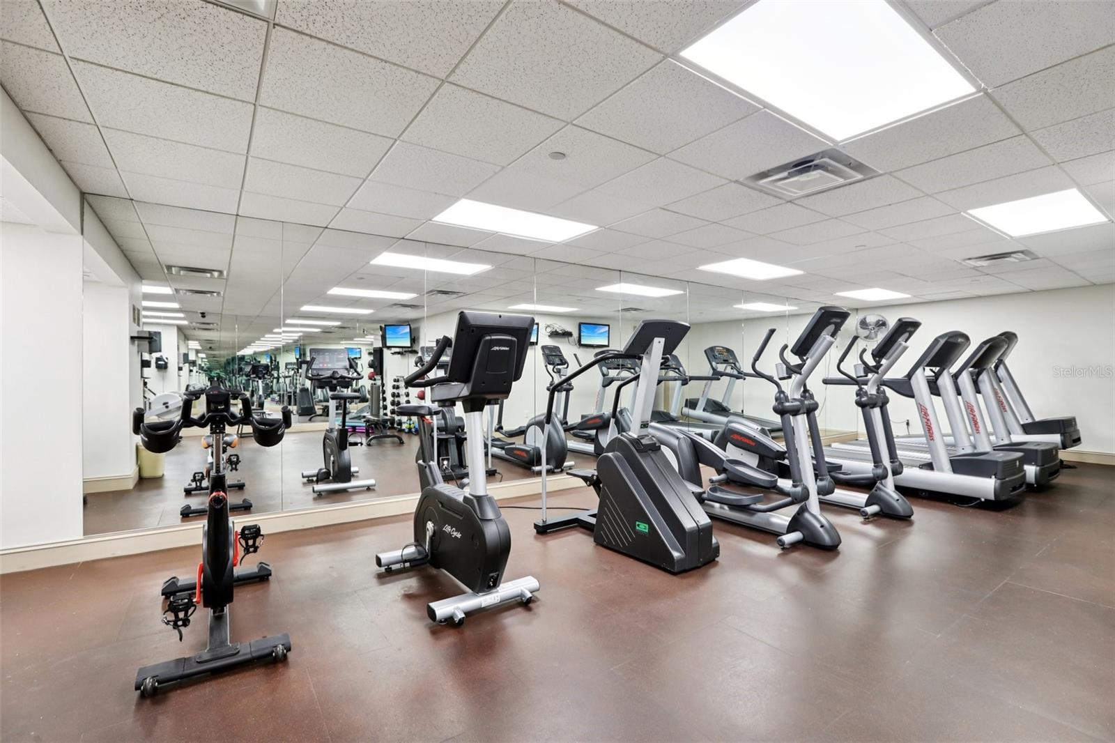 Image 78 of 78 For 345 Bayshore Boulevard Gp10