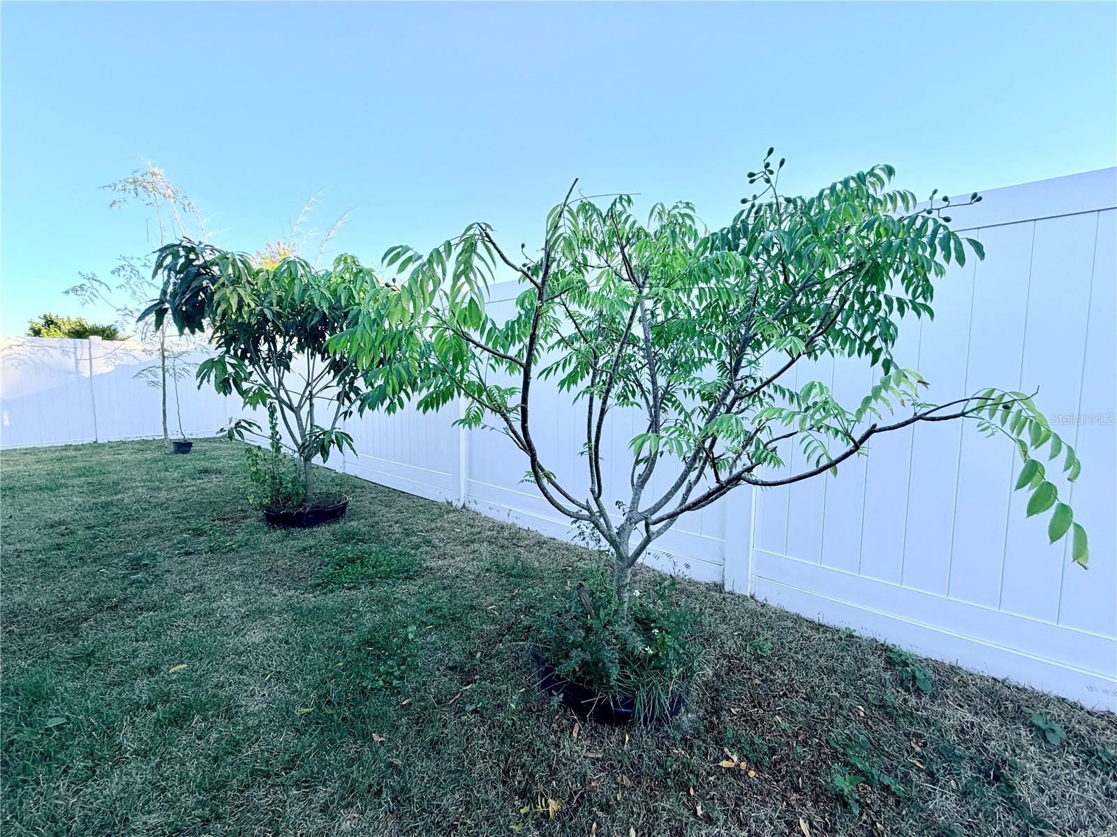 Image 42 of 49 For 30750 Temple Stand Avenue