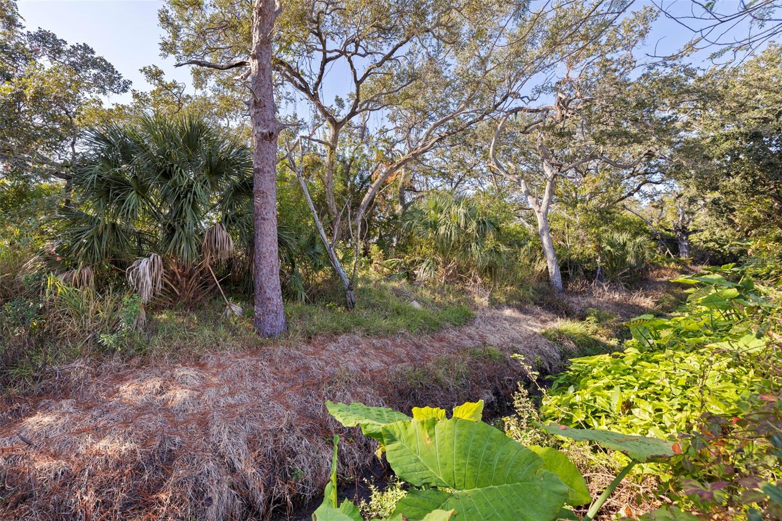 Image 20 of 21 For 5514 146th Terrace N