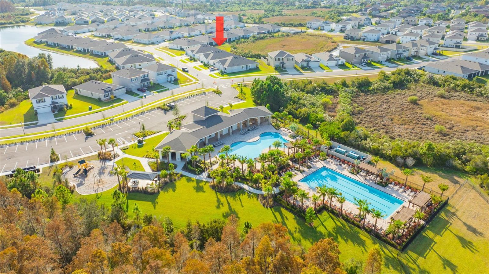 Image 10 of 58 For 2555 Bending Bonsai Drive