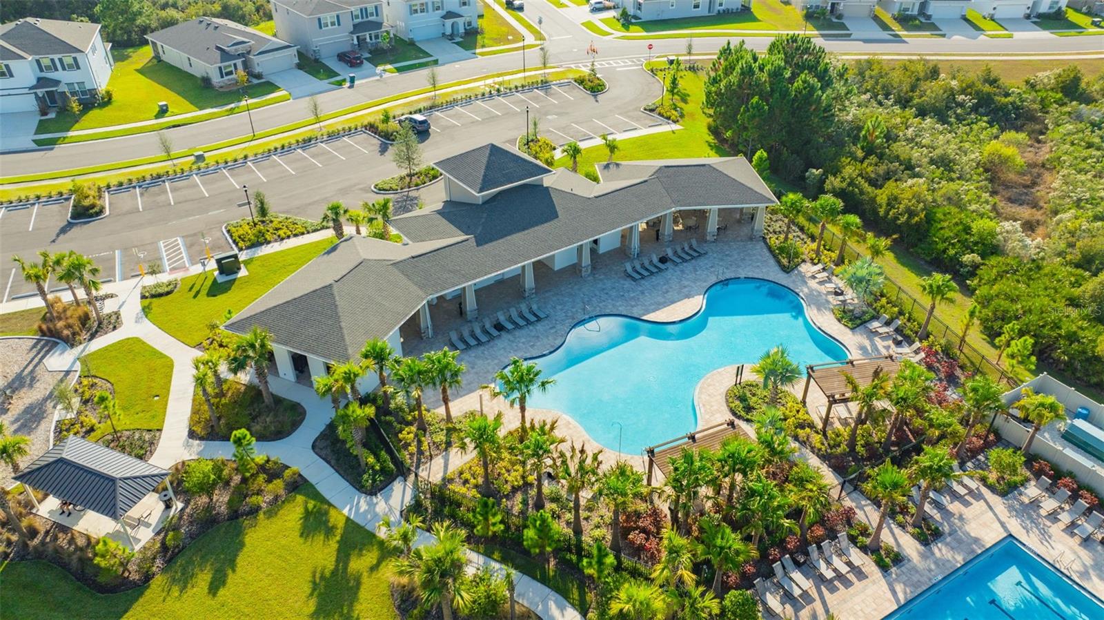 Image 12 of 58 For 2555 Bending Bonsai Drive