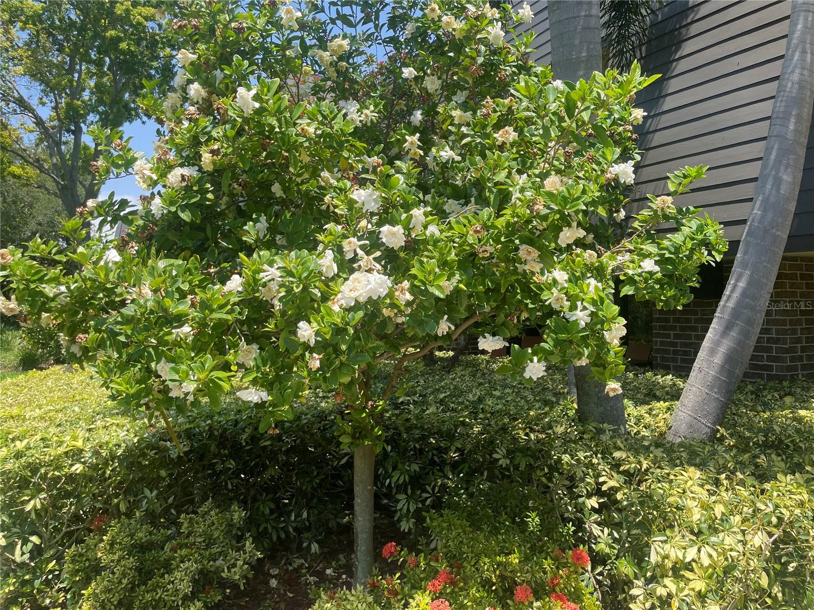 Image 14 of 24 For 36750 Us Highway 19 N 15-308