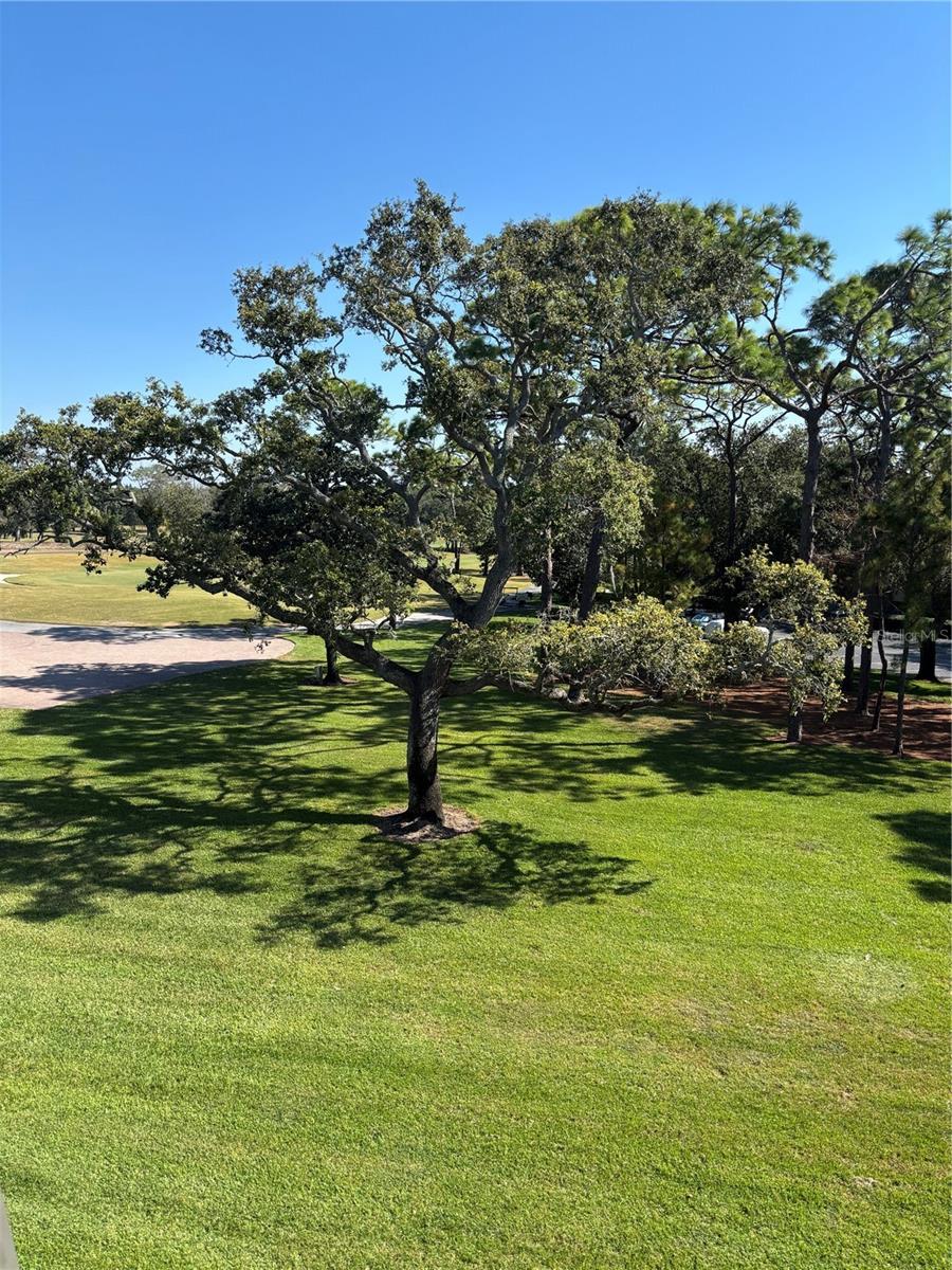 Image 4 of 24 For 36750 Us Highway 19 N 15-308