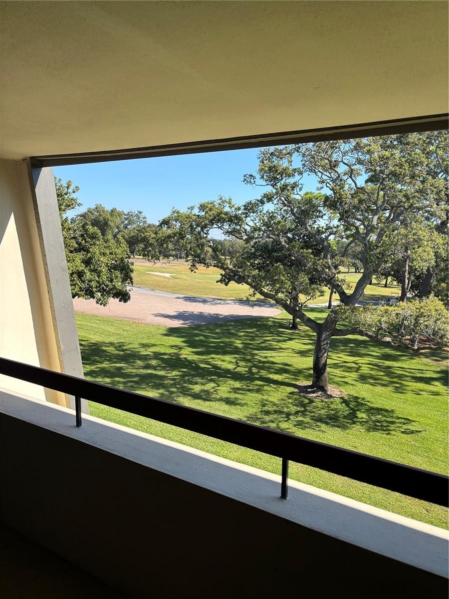 Image 5 of 24 For 36750 Us Highway 19 N 15-308