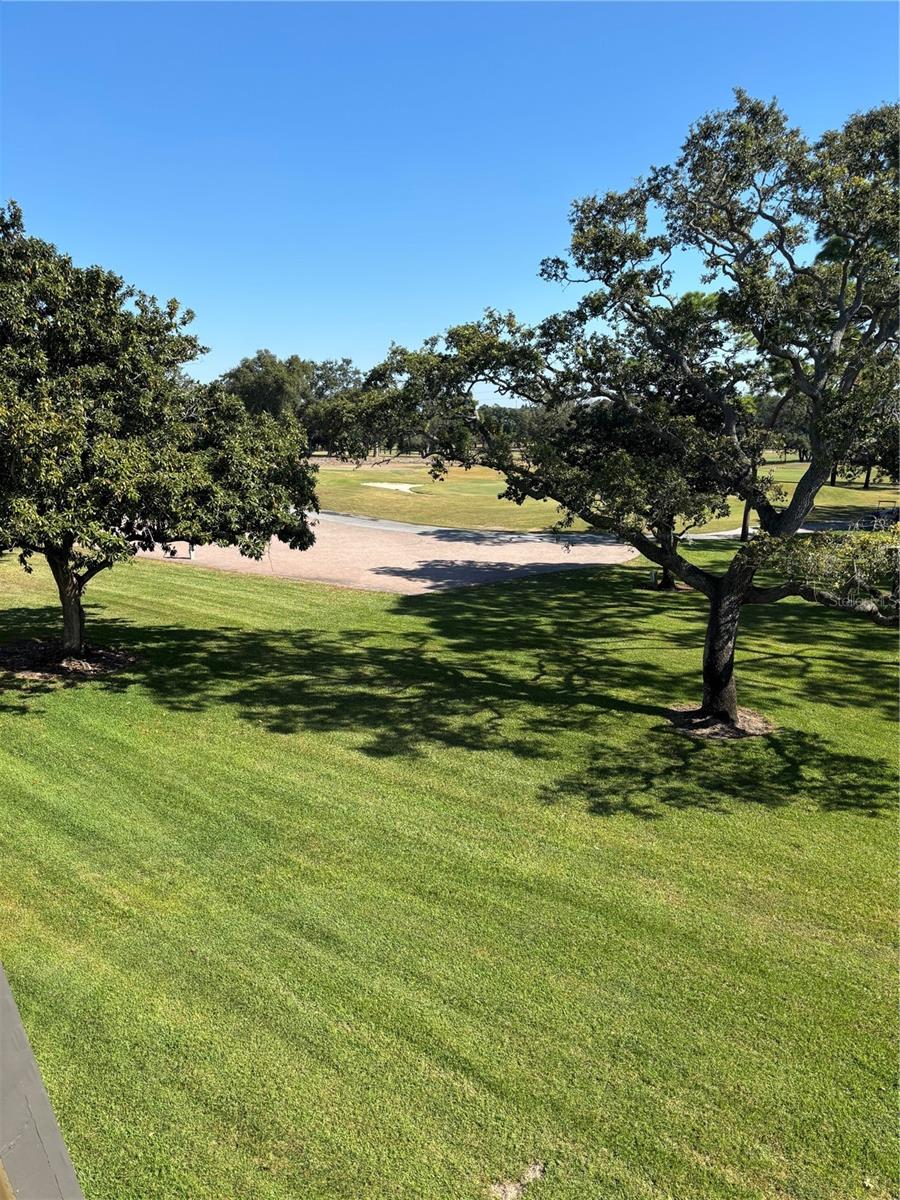 Image 6 of 24 For 36750 Us Highway 19 N 15-308