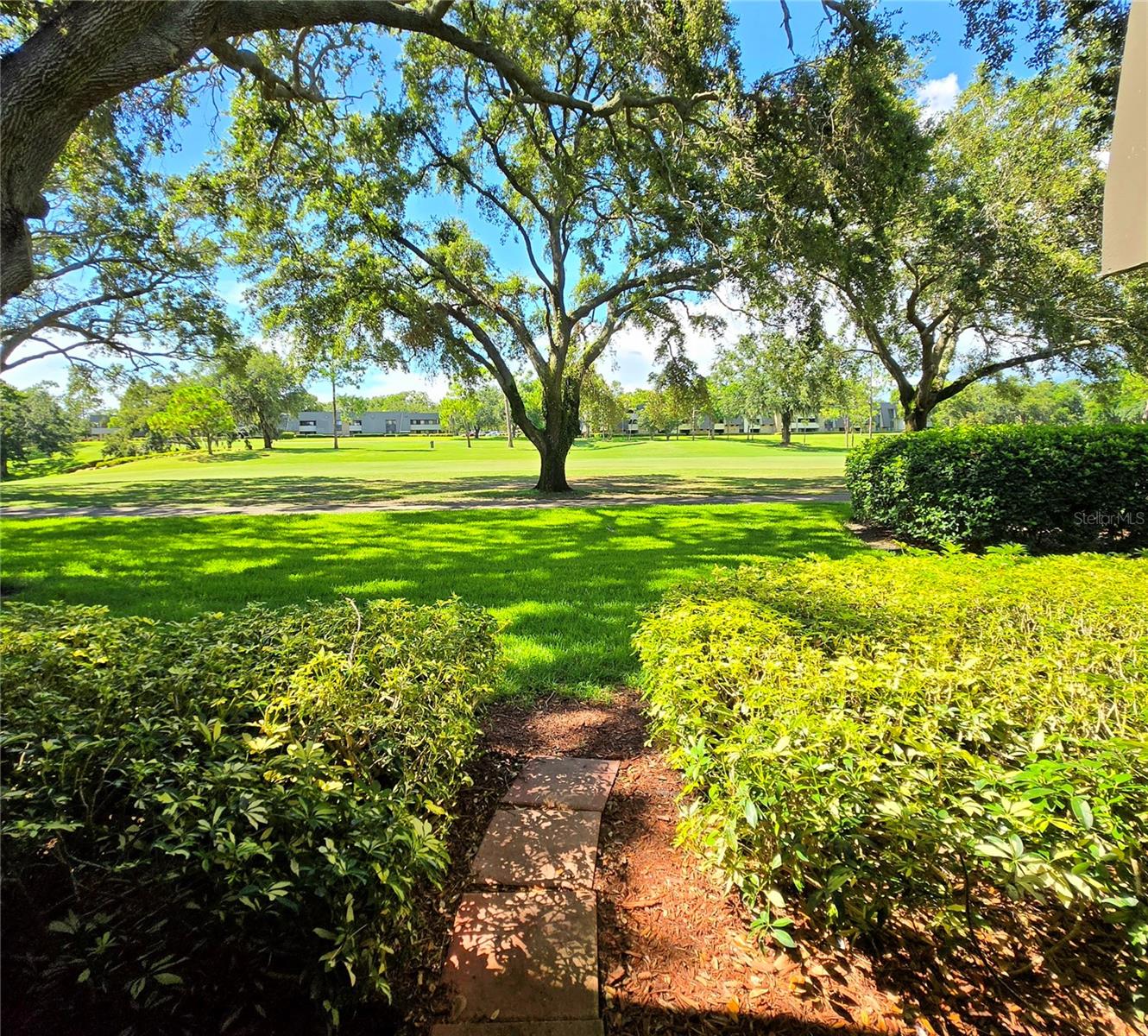 Image 17 of 25 For 36750 Us Highway 19 N 12-109