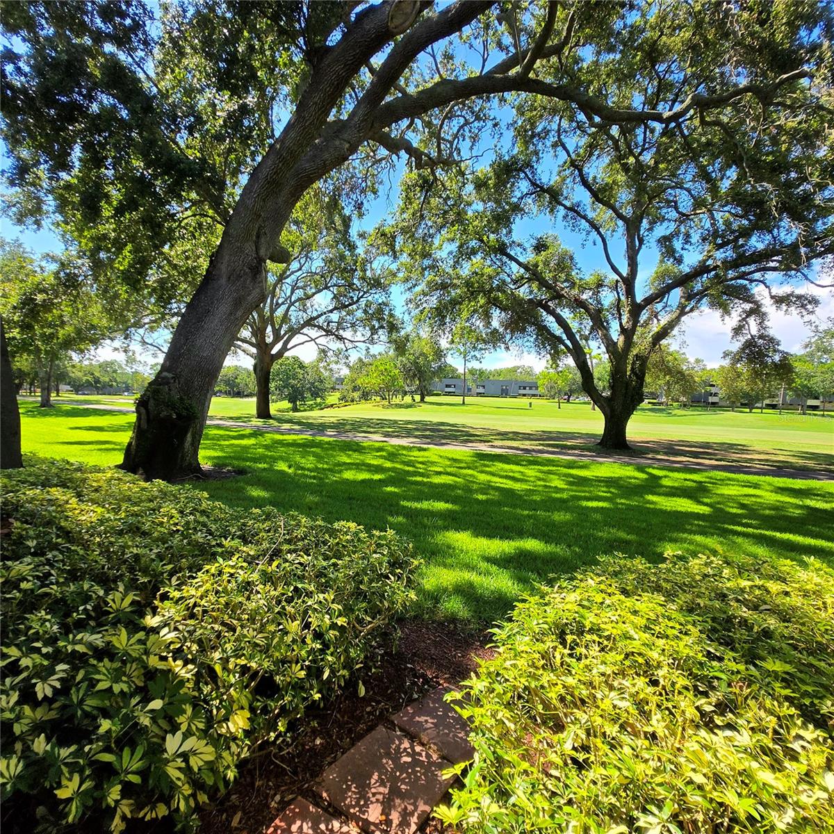 Image 18 of 25 For 36750 Us Highway 19 N 12-109