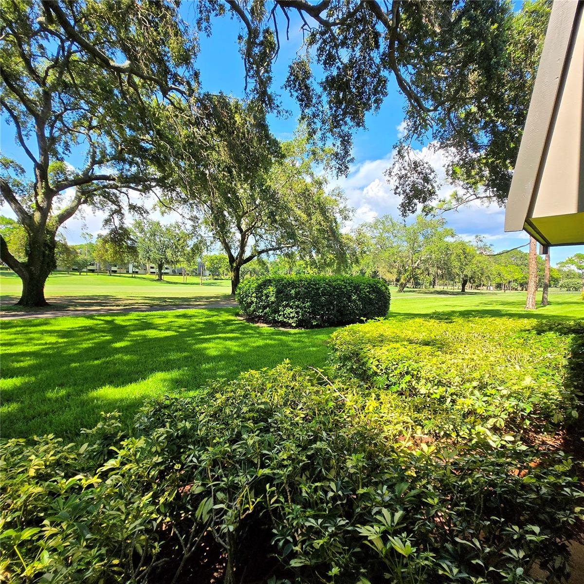 Image 24 of 25 For 36750 Us Highway 19 N 12-109