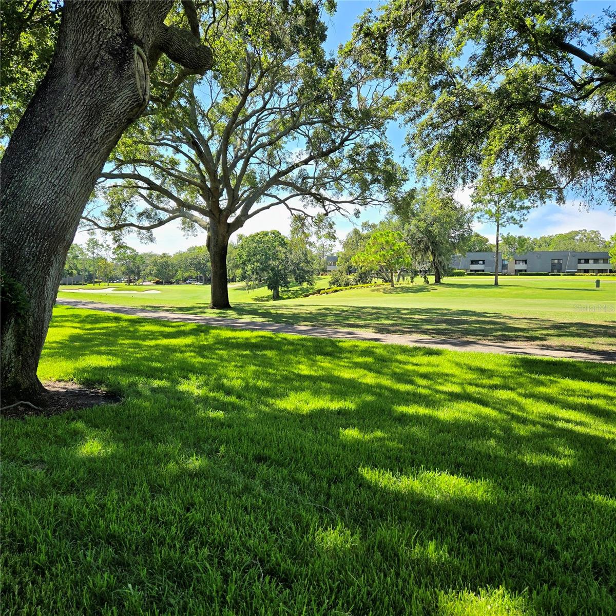 Image 25 of 25 For 36750 Us Highway 19 N 12-109